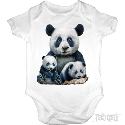 Panda and the Cubs - Pandás baba body