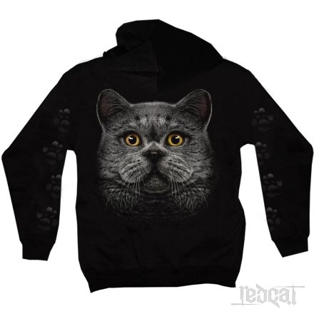Brit rövidszőrű macskás kapucnis pulóver